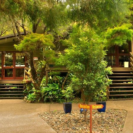 Broken River Mountain Resort Eungella Luaran gambar